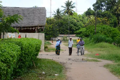 DSC_9003 (Large).JPG